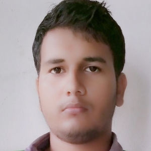 Rahul Dey-Freelancer in DHARMANAGAR,India
