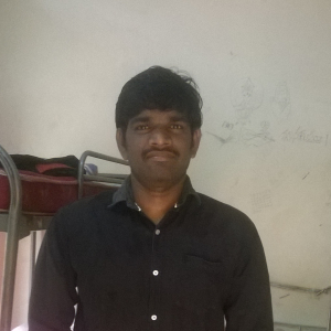 P Veerraju-Freelancer in HYD,India