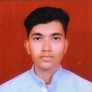 PRAVESH RAJ-Freelancer in Delhi/NCR,India