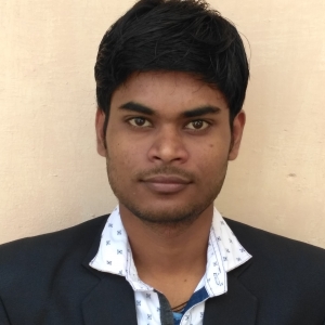 Nitesh Kumar-Freelancer in Raipur,India