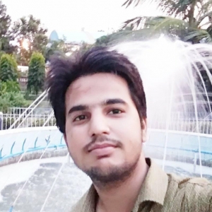Shubham Kohli-Freelancer in BULANDSHAHR,India