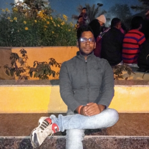 Mrinal Singh-Freelancer in ,India