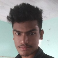 Nitish Amar-Freelancer in Nasirabad,India