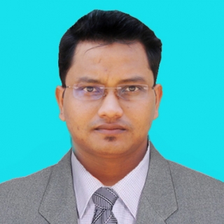 BISHNU PRASAD SWAIN-Freelancer in ,India