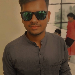 Rohit Kumar Gupta-Freelancer in Jaipur,India