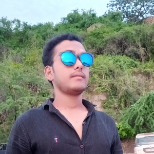 Suresh Lal Regar-Freelancer in Rajsthan,India