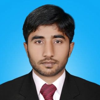 Hasnain Raza-Freelancer in Multan,Pakistan