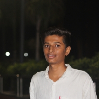 Ankit Patel-Freelancer in lunawada,India