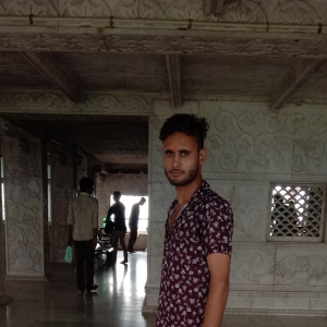 Deepak Meena-Freelancer in Jaipur,India