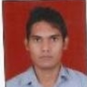 Ravi Kumar Bharti-Freelancer in Delhi,India