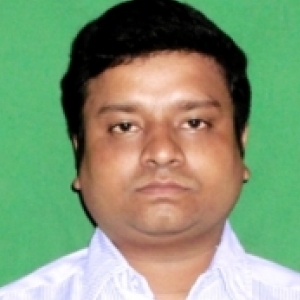 Subhankar Sarkar-Freelancer in Nalhati,India