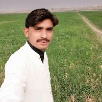 Mansoor Ali-Freelancer in Khairpur Nathan Shah,Pakistan