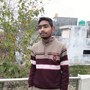 Kapil Dev-Freelancer in Bareilly Uttar Pradesh,India