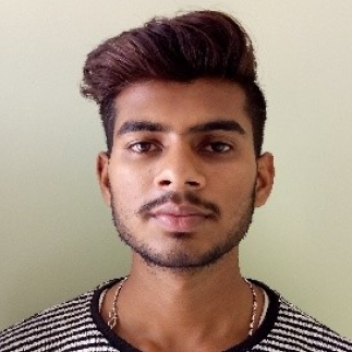 Vikash Kumar-Freelancer in BHAGALPUR,India