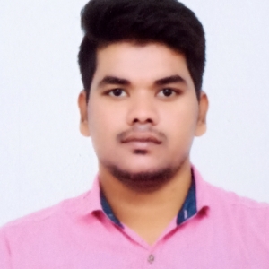 N Lokesh-Freelancer in Chittoor,India