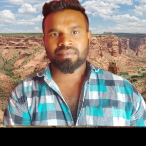 Krishna Dasari-Freelancer in ,India