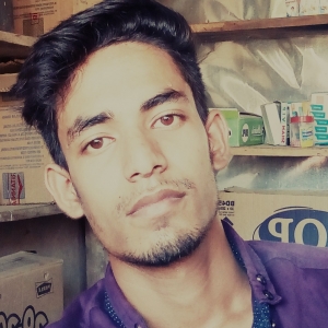 Bilal Ahmed Laskar-Freelancer in Naharlagun,India