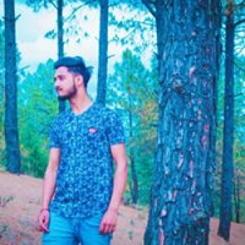 Sàññdy Vèrmá-Freelancer in kalka,India