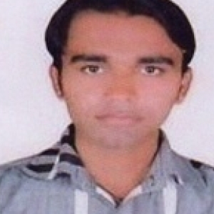 Narendra Salvi-Freelancer in Rawatbhata,India