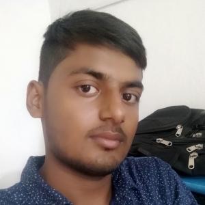 Sarjil Anwar Ansari-Freelancer in MADHUPUR,India