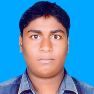 Abdul Malek-Freelancer in ,Bangladesh