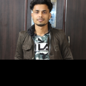 Joney Rajput-Freelancer in ,India