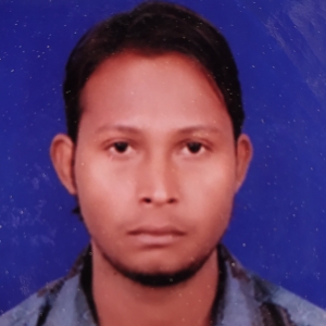 Naresh Kumar Suman-Freelancer in ,India