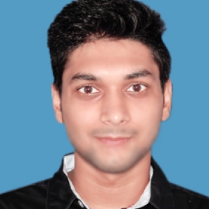 Naman Mittal-Freelancer in Patna,India