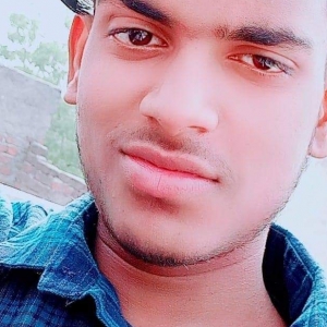 Bharat Topia-Freelancer in ,India