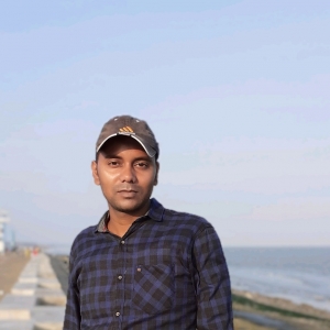 Subham Pal-Freelancer in ,India