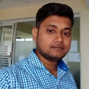 Bikash Nayak-Freelancer in Bhubaneshwar,India