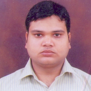 Mritunjay Bhardwaj-Freelancer in New Delhi,India