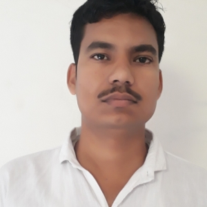 Amit Kumar-Freelancer in Lucknow,India