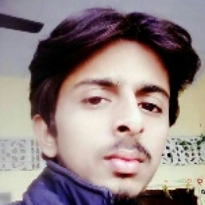 Sitaram Prajapat-Freelancer in ,India