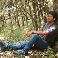 Mayank Chaudhari-Freelancer in Pantnagar,India