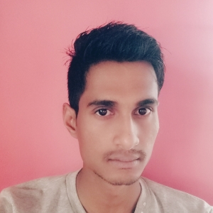 Tushar Mahapatra-Freelancer in Baidara,India