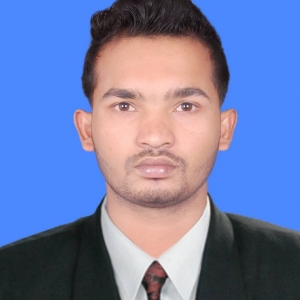 Rajib P-Freelancer in Cochin,India