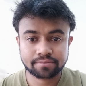 Bharat Rajpoot-Freelancer in JHANSI,India