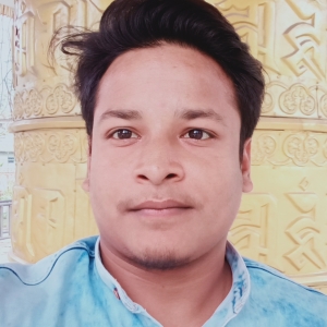 Anarul Hoque-Freelancer in Haora,India