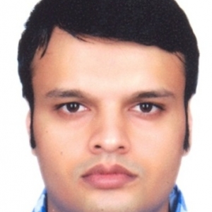 Ankit Chauhan-Freelancer in Noida,India