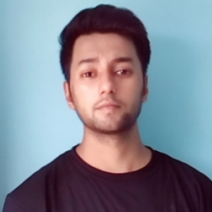 Basant Singh-Freelancer in New Delhi,India