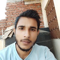 Mohammad Zeeshan Siddiqui-Freelancer in aligarh up,India