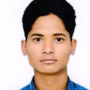 Ankit Khadikar-Freelancer in ,India