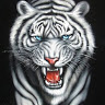 White Tiger Guru-Freelancer in ,India