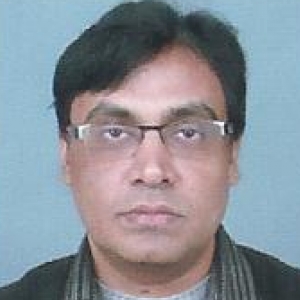 Pankaj Kanti Das-Freelancer in Azimganj,India