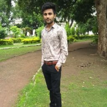Virendra Singh-Freelancer in INDORE,India