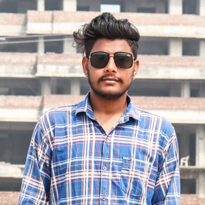 Vikas Panchal-Freelancer in chandigarh,India