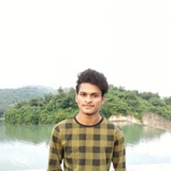 Sibasankar Swain-Freelancer in GONDIA,India