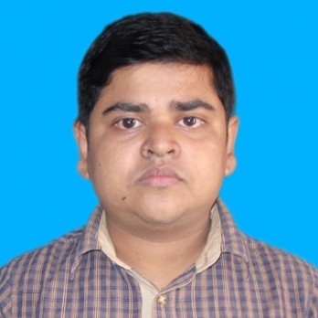 Prasenjit Roy-Freelancer in Kolkata,India