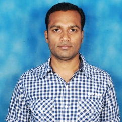 Rakesh Kumar Dora-Freelancer in Bangalore karnataka,India